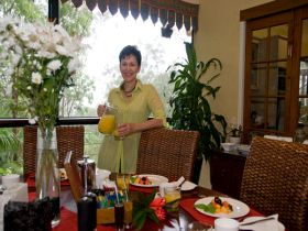 Mount Cotton Guesthouse - Hotel Accommodation 1