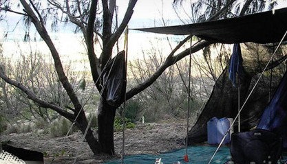 Main Beach Foreshore Camping Grounds - Hotel Accommodation 0