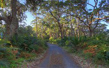 BIG4 South Durras Holiday Park - Hotel Accommodation 4