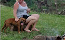 Roto NSW Hotel Accommodation