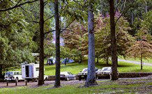 Dingo Tops Campground - Hotel Accommodation 1