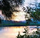 Tweed Coast Holiday Parks Hastings Point - Hotel Accommodation