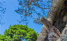 Hat Head Holiday Park - Hotel Accommodation 3