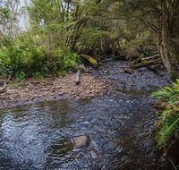 Horse Swamp campground - Hotel Accommodation