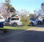 Horseshoe Motor Village - Hotel Accommodation