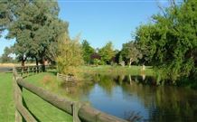 Horseshoe Motor Village - Hotel Accommodation 3