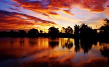 Junee Tourist Park - Hotel Accommodation 2