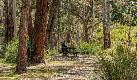 Koreelah Creek Campground - Hotel Accommodation 0