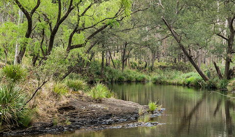 Koreelah Creek Campground - Hotel Accommodation 1