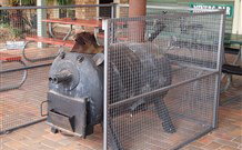 Lightning Ridge Outback Resort And Caravan Park - Hotel Accommodation 7