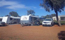 Lightning Ridge Tourist Park - Hotel Accommodation 2