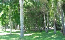 Lismore Palms Caravan Park - Hotel Accommodation 0