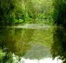 Mangrove Yoga Ashram - Hotel Accommodation