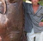 Michael's Clarence Valley Retreat - Hotel Accommodation