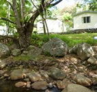 Mt Warning Rainforest Park - Hotel Accommodation