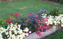 Narromine Tourist Park And Motel - Hotel Accommodation 1