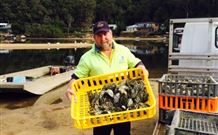 Patonga Camping Area - Hotel Accommodation 2