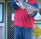 Rainbow Pines Tourist Caravan Park - Hotel Accommodation