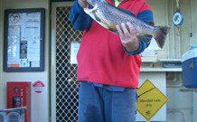 Rainbow Pines Tourist Caravan Park - Hotel Accommodation 0