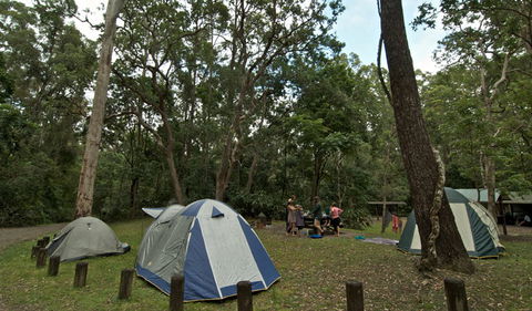 Sheepstation Creek Campground - Hotel Accommodation 2