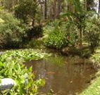 Tallowood Ridge B and B - Hotel Accommodation