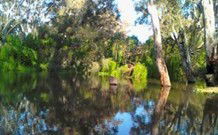 Wanganella Creek Camp Park - Hotel Accommodation 2
