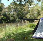 Williams River Holiday Park - Hotel Accommodation