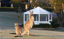 Chateau Elan At The Vintage Hunter Valley - Hotel Accommodation 4