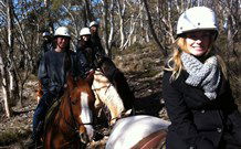 JE Resort (Jindabyne Equestrian Resort) - Hotel Accommodation 1