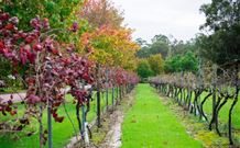 Peppers Convent Hunter Valley - Hotel Accommodation 4