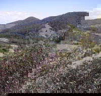 Blackbird Flat Camping Ground - Hotel Accommodation