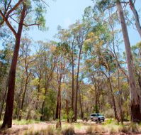 Coolah Tops National Park Camping - Hotel Accommodation