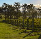 H Boutique Hotel - Pokolbin - Hotel Accommodation