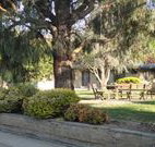 Hamilton Hume Motor Inn - Yass - Hotel Accommodation