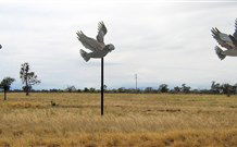 Gulargambone Hotel - Gulargambone - Hotel Accommodation 0