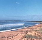 Hibiscus Lakeside Motel - Hotel Accommodation