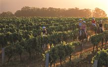 Hunter Valley Resort - Pokolbin - Hotel Accommodation 7
