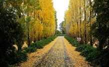 Melview Greens Apartments - Orange - Hotel Accommodation 5