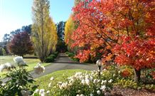 Melview Greens Apartments - Orange - Hotel Accommodation 7