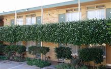 Mid City Motor Inn - Queanbeyan - Hotel Accommodation 4