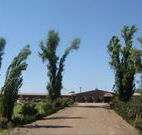 Newell Motor Inn - Narrandera - Hotel Accommodation