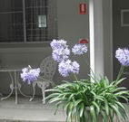 Pine Lodge Motel - Woolgoolga - Hotel Accommodation