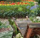 The Carrington Inn - Hotel Accommodation