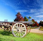 Oaks Ranch  Country Club - Hotel Accommodation