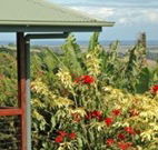 Alstonville Country Cottages - Hotel Accommodation