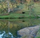 Barkeldine Farm Country Retreat - Hotel Accommodation