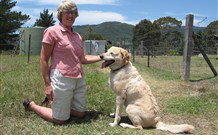 Big Bell Farm - Hotel Accommodation 2