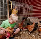 Bilpin Springs Lodge - Hotel Accommodation