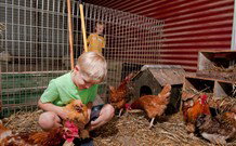 Bilpin Springs Lodge - Hotel Accommodation 0