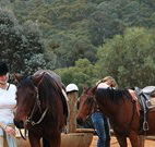 Clark Bay Cottages - Hotel Accommodation